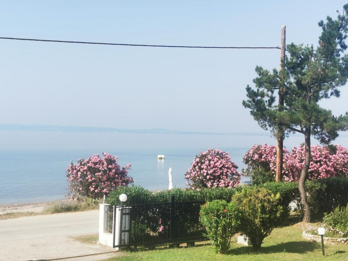 Metamorphosis - Halkidiki Apartment On The Beach Metamorfosi  Exterior photo